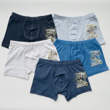 Дитячі труси боксерки для хлопчиків 2-3 роки (5 шт/уп)  ТМ Domi