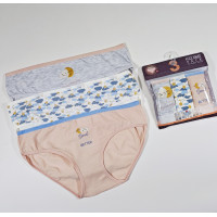 ОПТОМ. Набор женских трусов "Dominant". Размер: 2XL. ( 3 шт/уп). Турция.