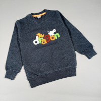 ОПТОМ кофта для мальчика 3,4,5,6,7,8,9,10,11,12 лет с начесом