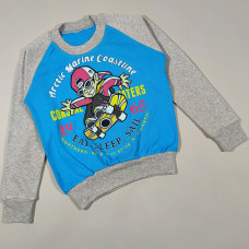 Детский реглан с манжетом  "Arctic marine coastine" для мальчика 8,9,10,11,12 лет