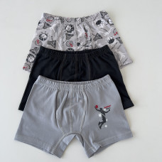 Дитячі труси боксерки для хлопчиків 3-4 роки ТМ Domi (3 шт/уп)