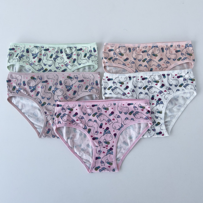 Детские трусики для девочек 4-5 лет (5шт/уп) ТМ Nicoletta