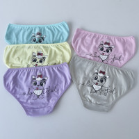 Детские трусики для девочек 4-5 лет (5шт/уп) ТМ Nicoletta