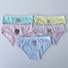 Детские трусики для девочек 6-7 лет (5шт/уп) ТМ Nicoletta
