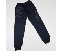 Спортивні штани (3)