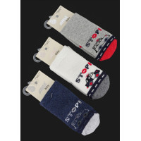 Махрові шкарпетки для малюків 6-12 міс ТМ Arti (6 шт/уп) 450124